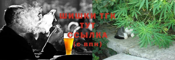 гашик Мегион